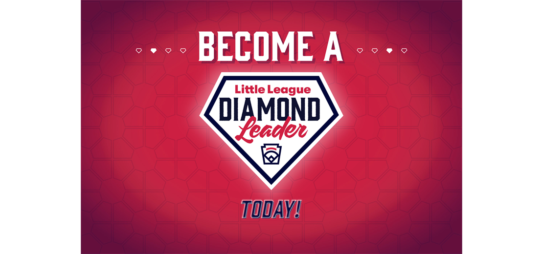 Diamond Leader Training